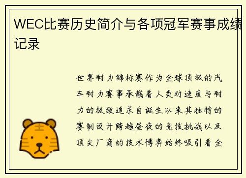 WEC比赛历史简介与各项冠军赛事成绩记录